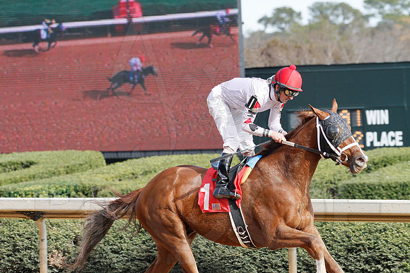 Oaklawn 1-11-13 (Justin Manning)0104