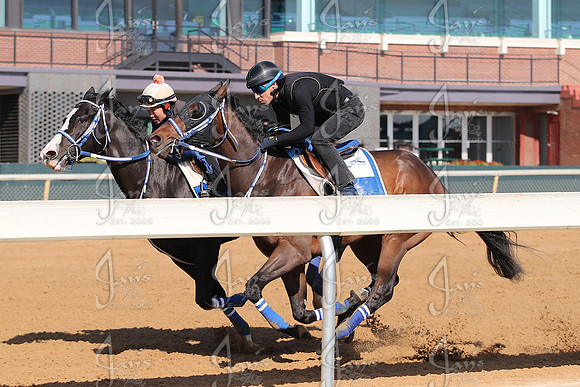 Apple Blossom Stakes Day 4-12-25_JWM_0105