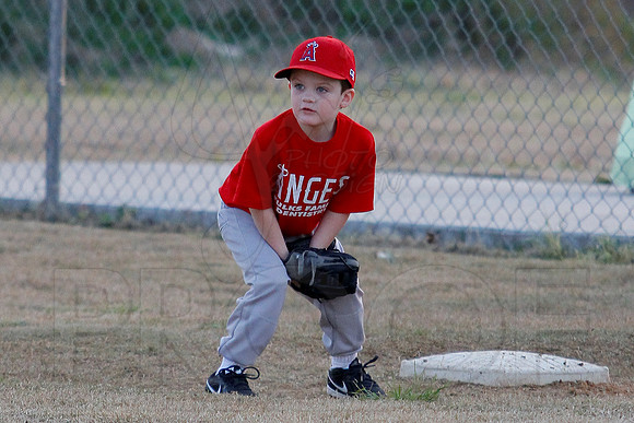 T-ball Angels vs Panthers 3-28-13 (© Justin Manning) JWM0003