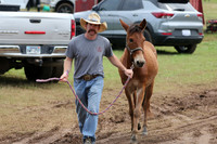 Whiskey Ridge Ranch (Chuckwagon Races) 5-25-25_JWM_1135