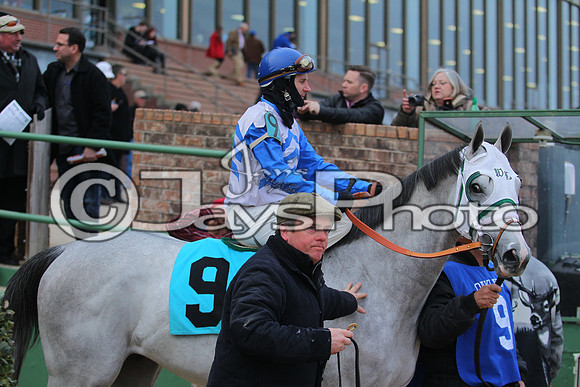Oaklawn Smarty Jones Stakes 1-18-2016 (©Justin Manning) JWM_(0193