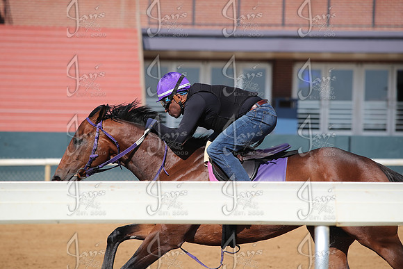 Apple Blossom Stakes Day 4-12-25_JWM_0082