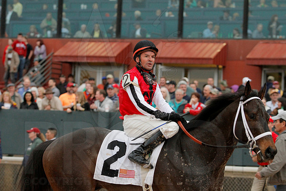 Rebel Stakes 3-15-14 3-15-2014 (© Justin Manning) JWM_0283