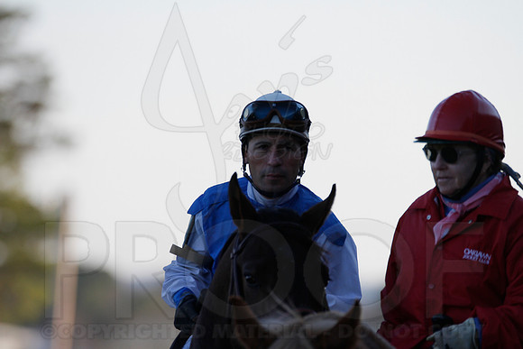 Oaklawn 1-21-13 (Smarty Jones Stakes) (Justin Manning)0188