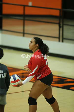 Camden Fairview @ Malvern JV_JWM_0262