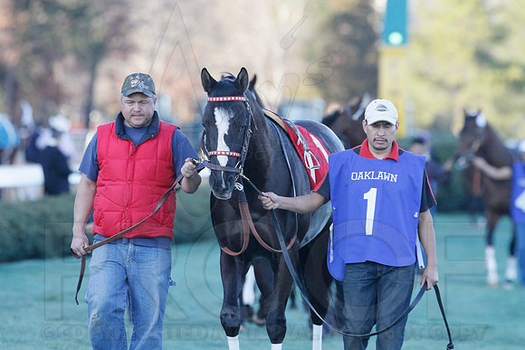 Oaklawn 1-21-13 (Smarty Jones Stakes) (Justin Manning)0098