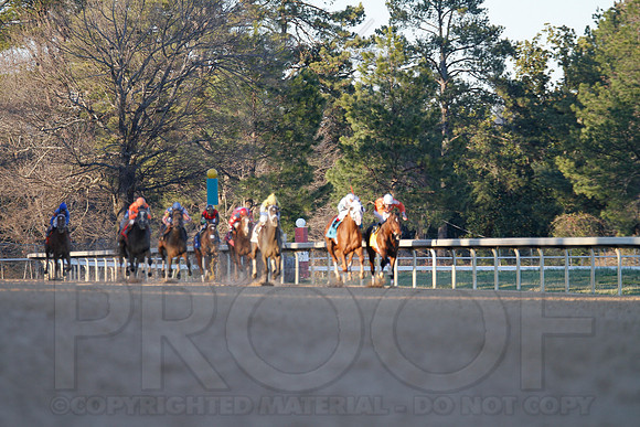 Oaklawn 1-21-13 (Smarty Jones Stakes) (Justin Manning)0217