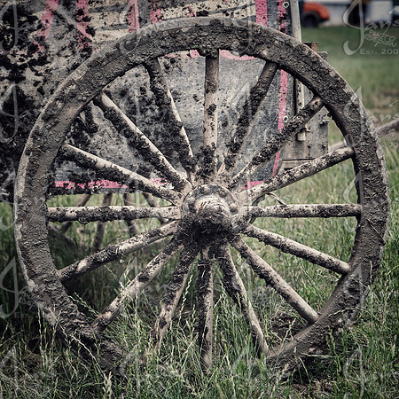 Whiskey Ridge Ranch (Chuckwagon Races) 5-25-25_JWM_024-2
