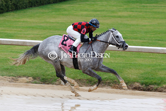 z240203_SouthwestStakesDay_JWM_JWM_0033