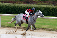 z240203_SouthwestStakesDay_JWM_JWM_0030
