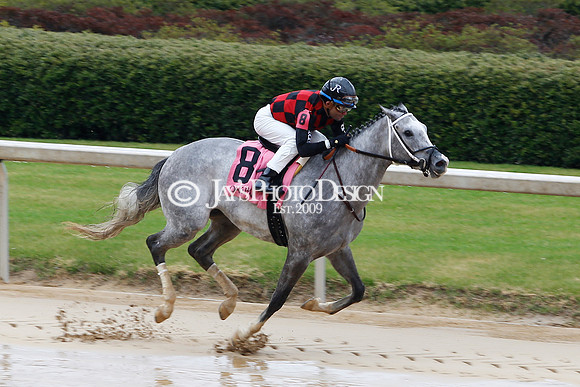 z240203_SouthwestStakesDay_JWM_JWM_0030