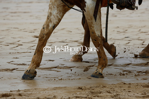 z240203_SouthwestStakesDay_JWM_JWM_0083