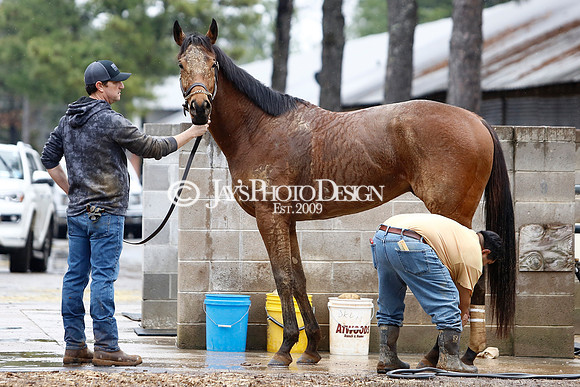 z240203_SouthwestStakesDay_JWM_JWM_0098