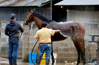 z240203_SouthwestStakesDay_JWM_JWM_0104