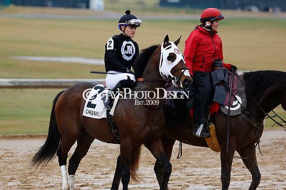 z240203_SouthwestStakesDay_JWM_JWM_0144