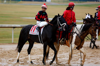 z240203_SouthwestStakesDay_JWM_JWM_0139