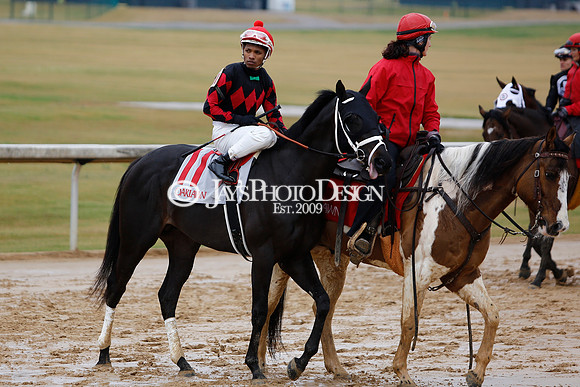 z240203_SouthwestStakesDay_JWM_JWM_0139
