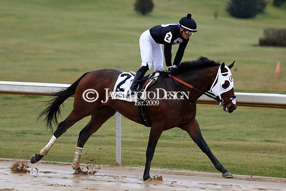 z240203_SouthwestStakesDay_JWM_JWM_0202