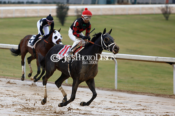 z240203_SouthwestStakesDay_JWM_JWM_0199