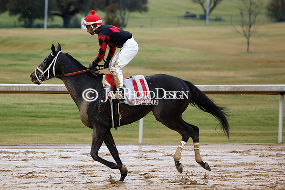 z240203_SouthwestStakesDay_JWM_JWM_0224