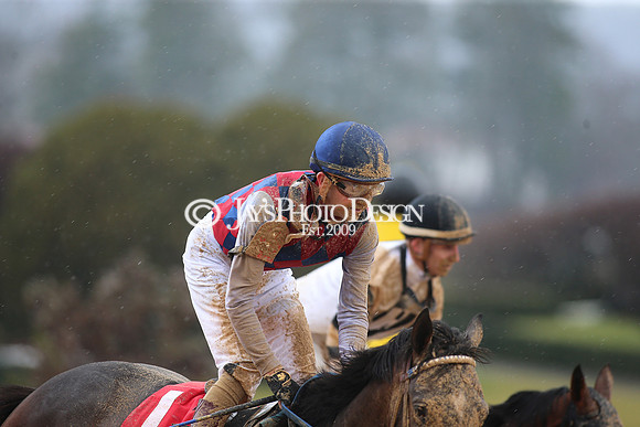 z240203_SouthwestStakesDay_JWM_JWM_0369