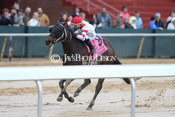 z240203_SouthwestStakesDay_JWM_JWM_0533