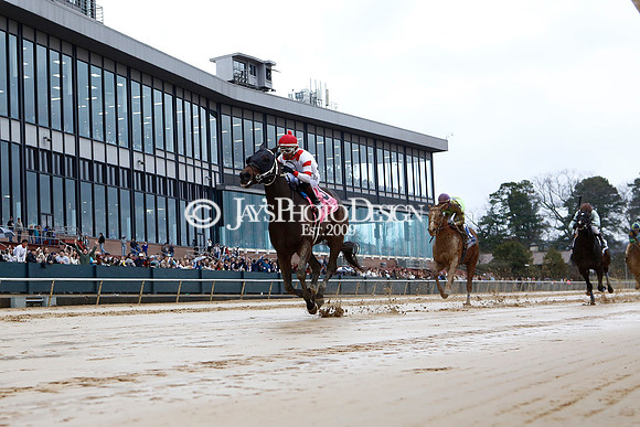 z240203_SouthwestStakesDay_JWM_JWM_0251