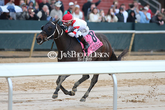 z240203_SouthwestStakesDay_JWM_JWM_0535