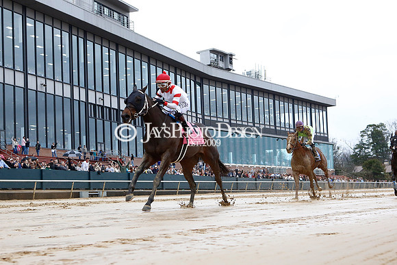 z240203_SouthwestStakesDay_JWM_JWM_0252