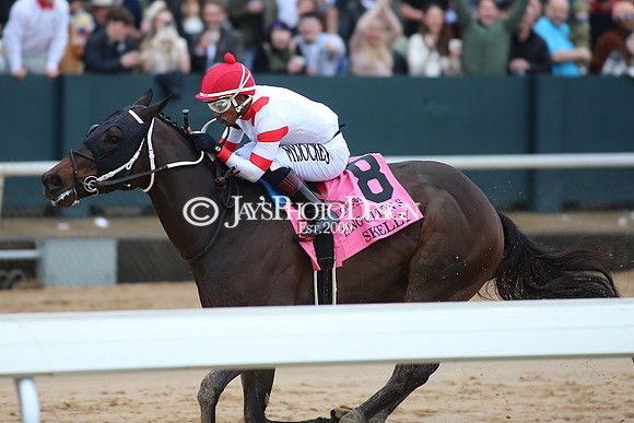 z240203_SouthwestStakesDay_JWM_JWM_0544