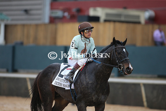 z240203_SouthwestStakesDay_JWM_JWM_0594