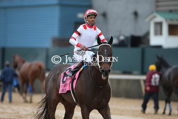 z240203_SouthwestStakesDay_JWM_JWM_0602