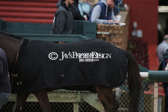 z240203_SouthwestStakesDay_JWM_JWM_0633
