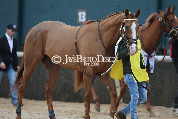 z240203_SouthwestStakesDay_JWM_JWM_0651