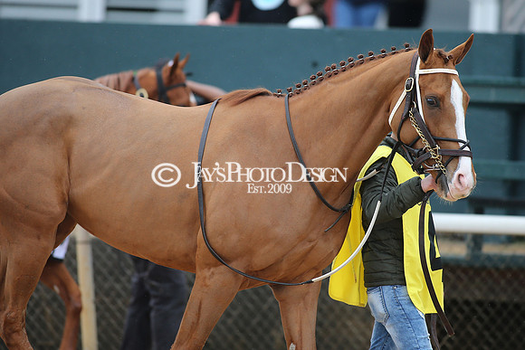 z240203_SouthwestStakesDay_JWM_JWM_0657