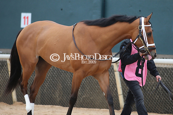 z240203_SouthwestStakesDay_JWM_JWM_0683