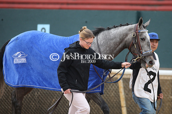 z240203_SouthwestStakesDay_JWM_JWM_0662