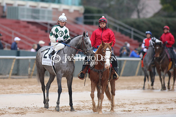 z240203_SouthwestStakesDay_JWM_JWM_0870