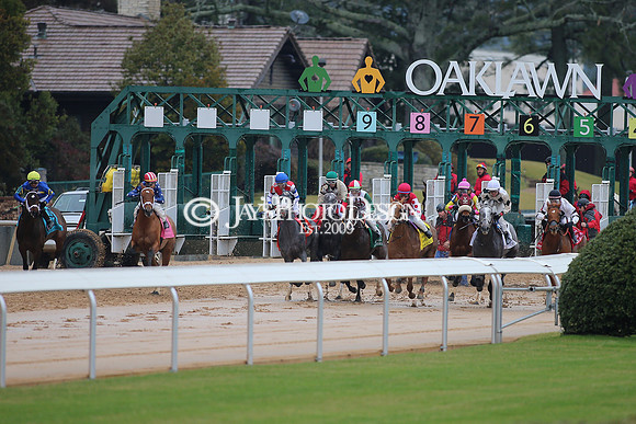 z240203_SouthwestStakesDay_JWM_JWM_0919