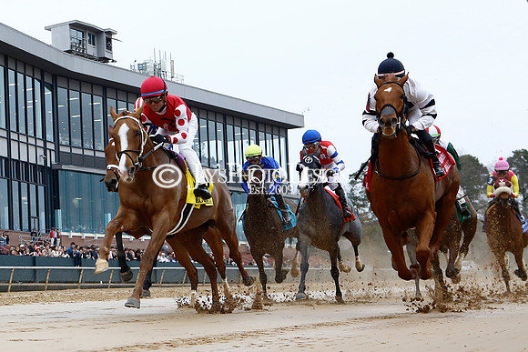 z240203_SouthwestStakesDay_JWM_JWM_0277