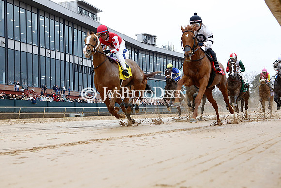 z240203_SouthwestStakesDay_JWM_JWM_0278