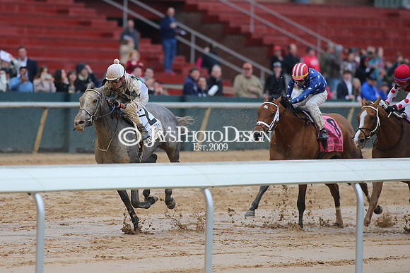 z240203_SouthwestStakesDay_JWM_JWM_0962
