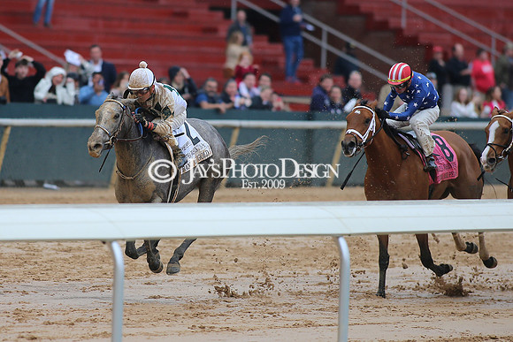 z240203_SouthwestStakesDay_JWM_JWM_0963