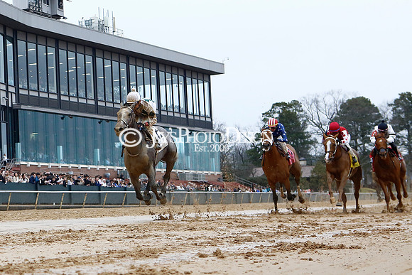 z240203_SouthwestStakesDay_JWM_JWM_0300