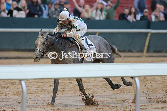 z240203_SouthwestStakesDay_JWM_JWM_0966