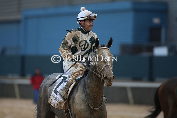 z240203_SouthwestStakesDay_JWM_JWM_1009