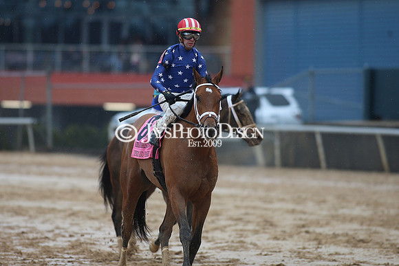z240203_SouthwestStakesDay_JWM_JWM_1010