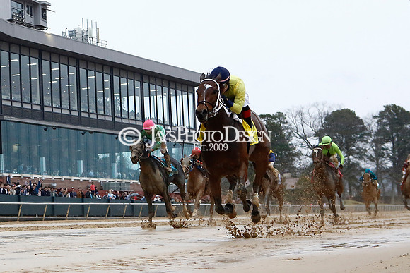 z240203_SouthwestStakesDay_JWM_JWM_1057