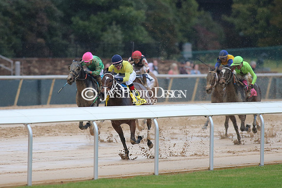z240203_SouthwestStakesDay_JWM_JWM_1172