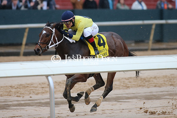 z240203_SouthwestStakesDay_JWM_JWM_1181
